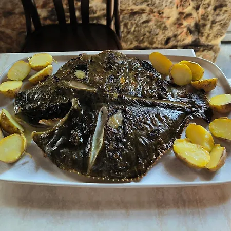 Pensjonat Vina Outes